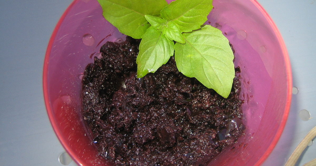 Tapenade express aux olives noires