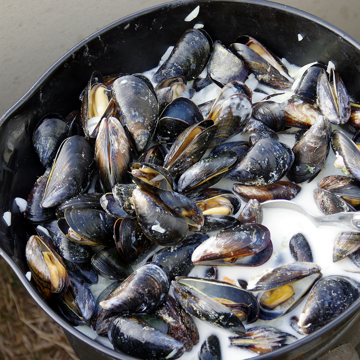 Moule à la crème fraîche
